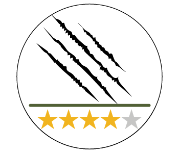 Résistance aux rayures